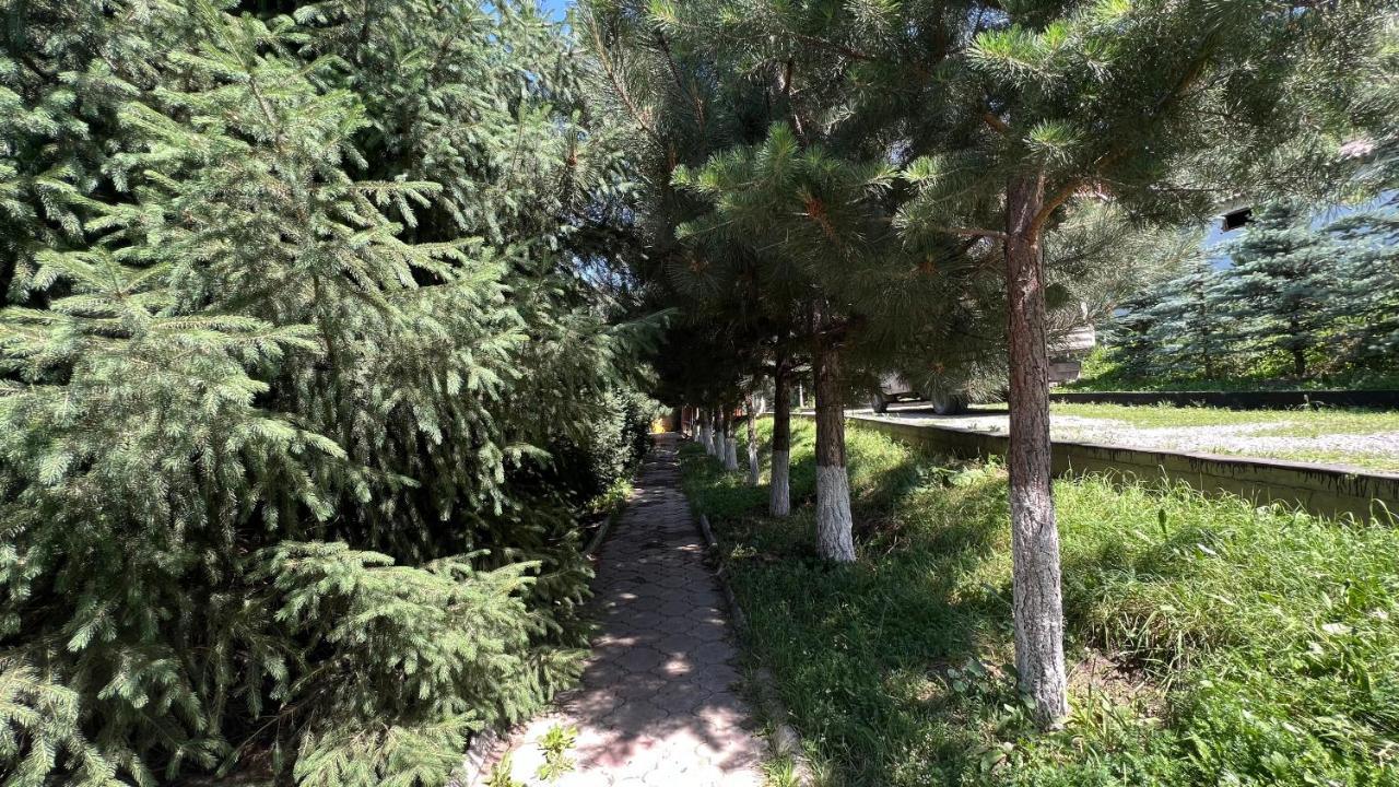 Гостевой Дом Коль-Тор Kegeti Exterior photo